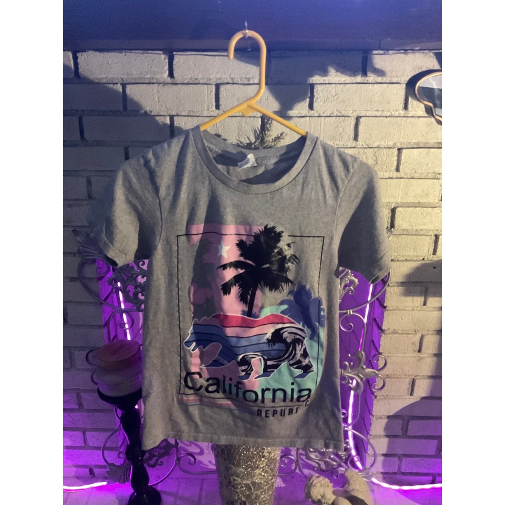 California Republic Graphic T-Shirt Gray Palm Tree Bear Beach Small Short Sleeve